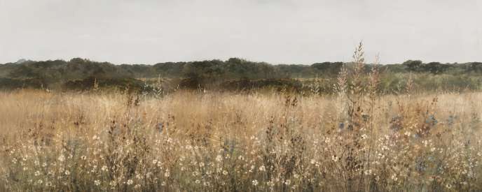 Meadow Light — Wander & Bloom collection art print